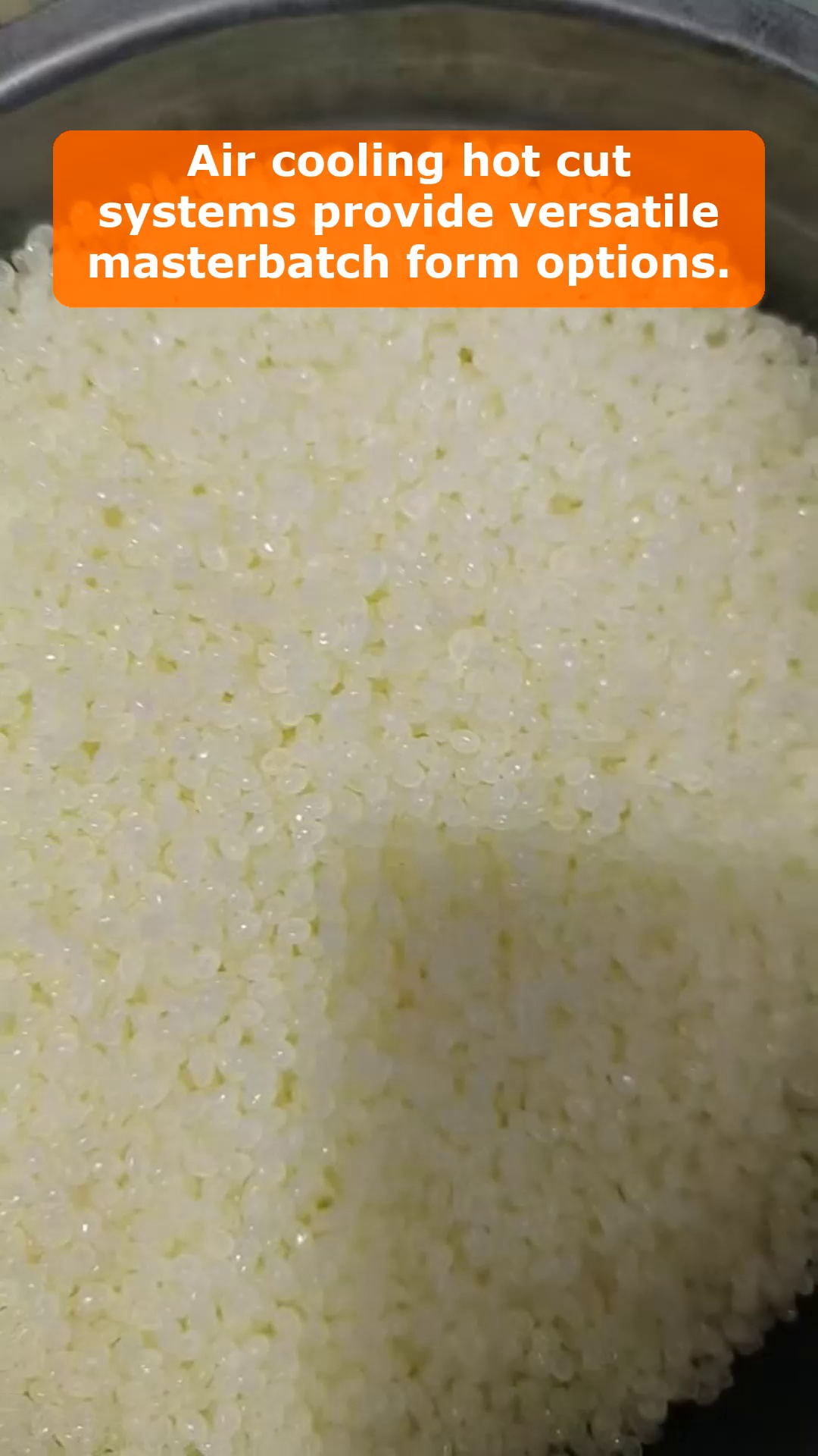 Vídeo 14