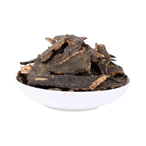 Figwort Root
