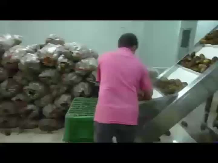 Jalur produksi kentang goreng