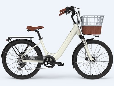 The 19th Anniversary Celebration Of The Head Company ( Electric Bicycle )