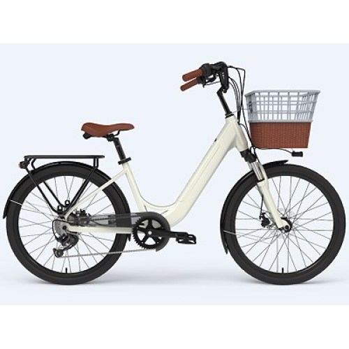 The 19th Anniversary Celebration Of The Head Company ( Electric Bicycle )