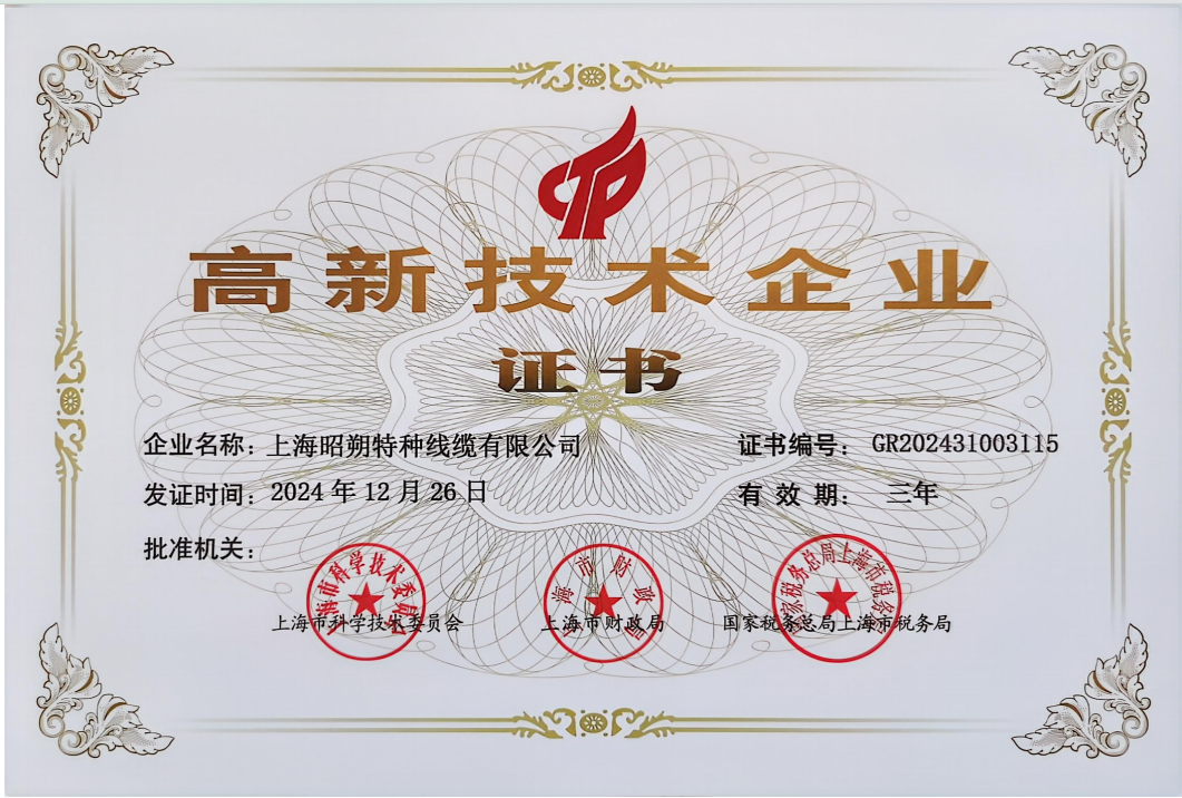 High-tech Enterprise Certificate GR202431003115 (Latest)