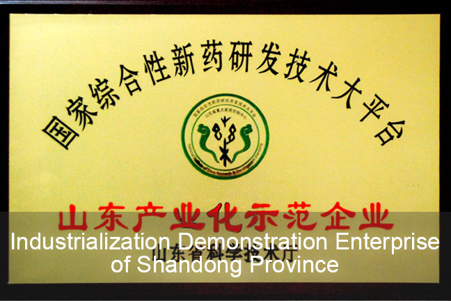 International Demonstration Enterprise of Shandong Province
