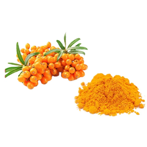 Eficacia y función de los flavonoides Seabuckthorn