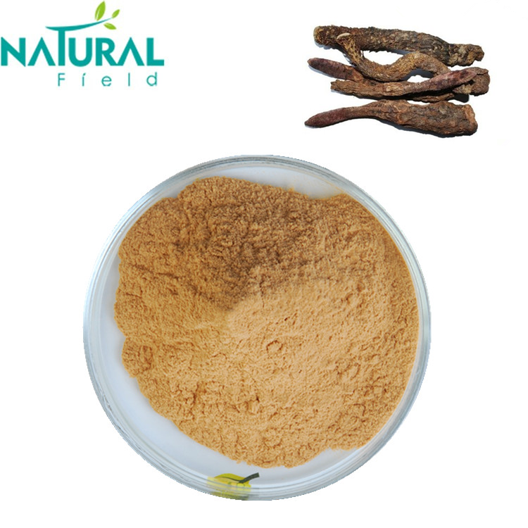 Free Sample Cistanche Deserticola Extract Powder