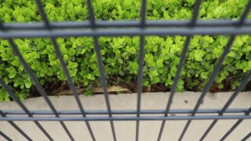 welded wire mesh Fencing panels1