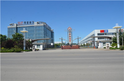 Shandong Qingneng Power Co., Ltd.