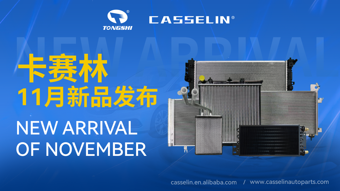 CASSELIN NEW ARRIVAL IN NOVEMBER