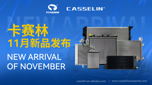 CASSELIN NEW ARRIVAL IN NOVEMBER
