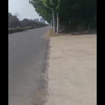 Company video 1
