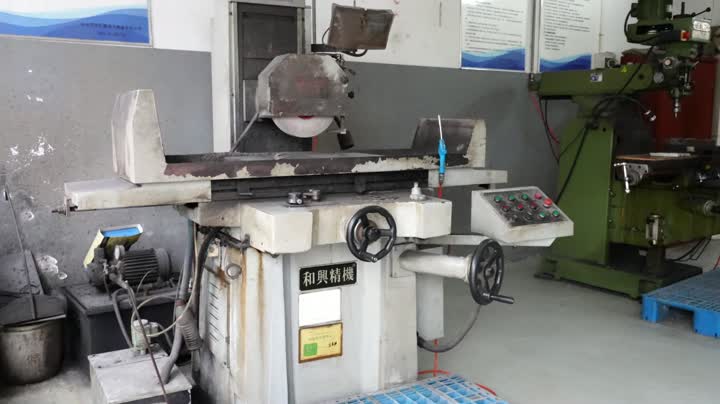 Schimmelmodifikation Workshop
