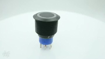 Metal Push Button (2)