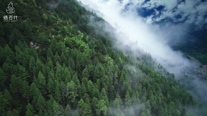 dc164d4a111bf12f1d6c68a4299dc65b