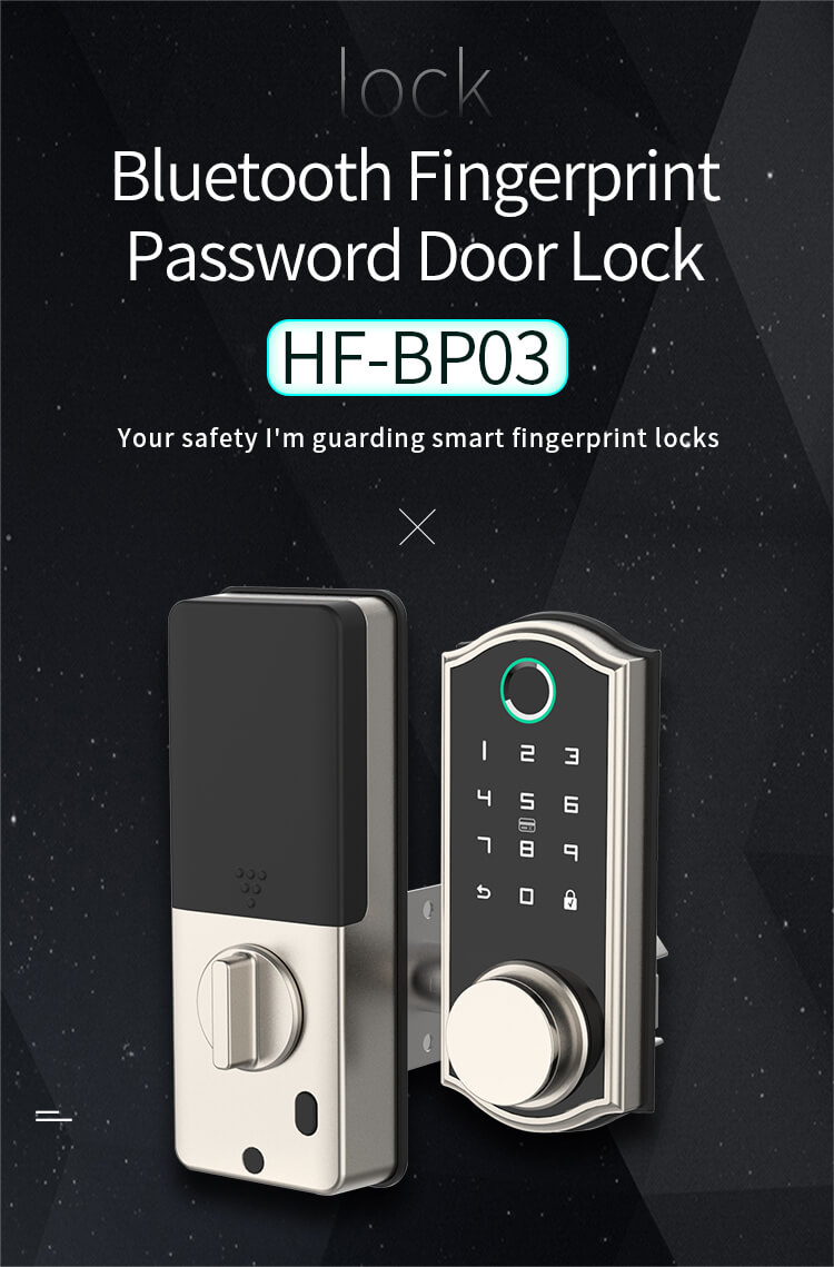 FSecurity BP03  Biometric Remote Control Bluetooth Fingerprint Door Lock
