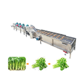 Customized Industrial Agricultural Product Washing and Drying Line1