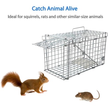 Top 10 Squirrel Trap Cage Manufacturers