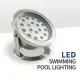 12V/24V LED Fountain Lights IP68水中ステンレス鋼