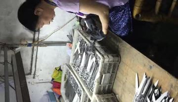 Acceptance For Handle Welding 