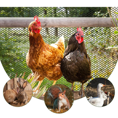 आपके बगीचे के लिए पोल्ट्री चिकन फेंसिंग प्लास्टिक जाल