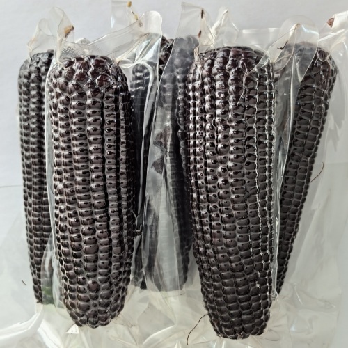 6601 high quality black sweet corns