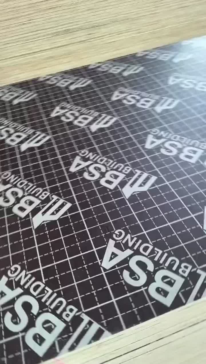 madera contrachapada revestida con película (3)