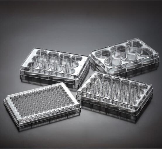 Piastre sterili per colture cellulari in plastica di diverse dimensioni