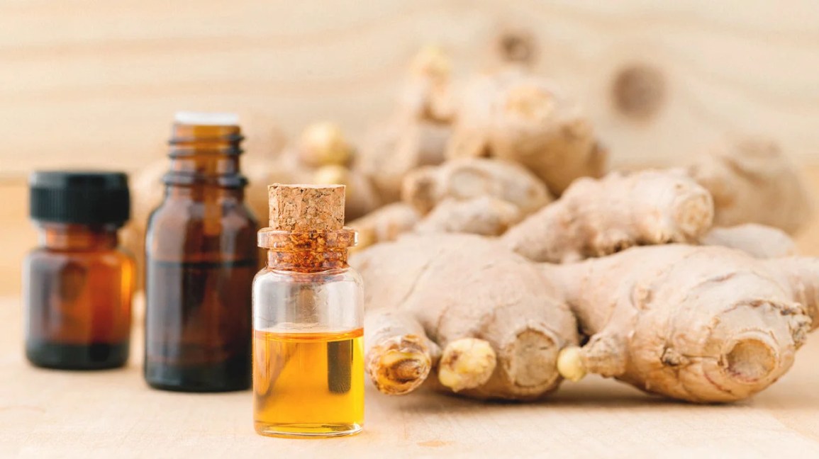 Natural Ginger Oil 