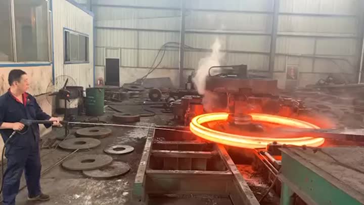 large diameter forged rings