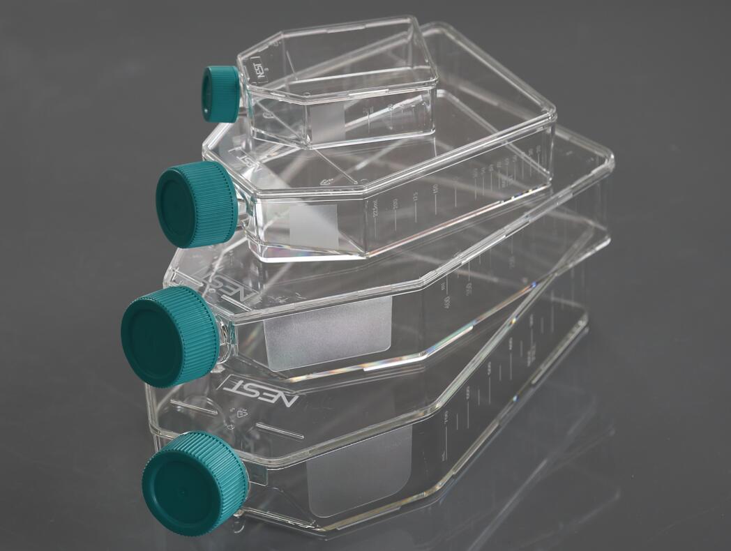 cell culture flask