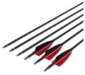 Wholesale Carbon Arrow Shafts 31'' with Insert and 4'' Turkey Feathers1