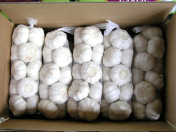 GARLIC PACKING BAG