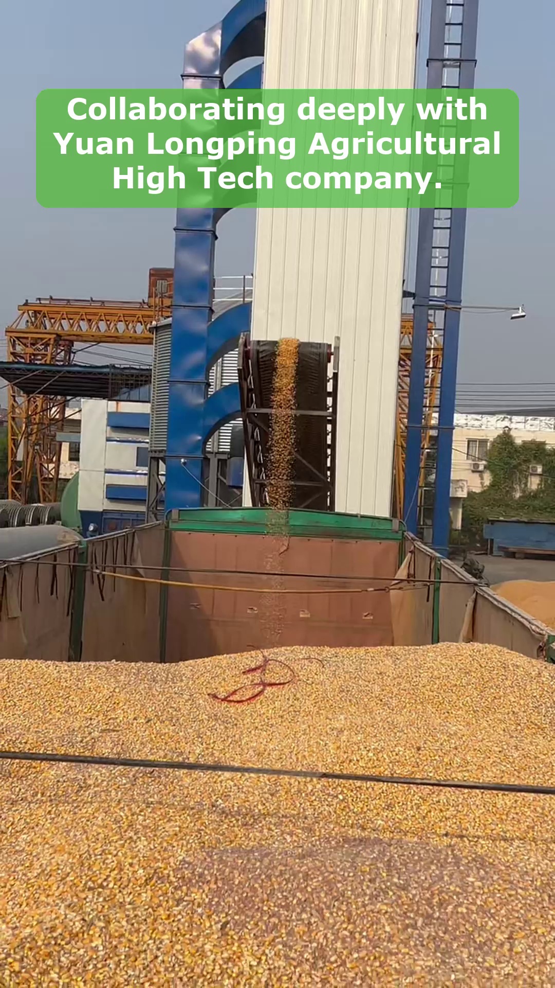 Vidéo 12