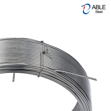 China Top 10 Electro Galvanized Steel Wire Potential Enterprises