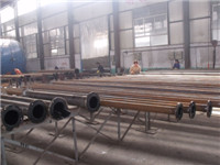 Henan Liwei Industry