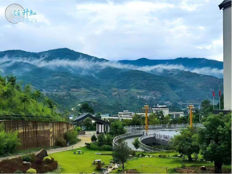 Fengqing Chenshenghong Tea Co., Ltd.