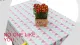 Anpassad Disposable Table Cloth / Custom Table Cover