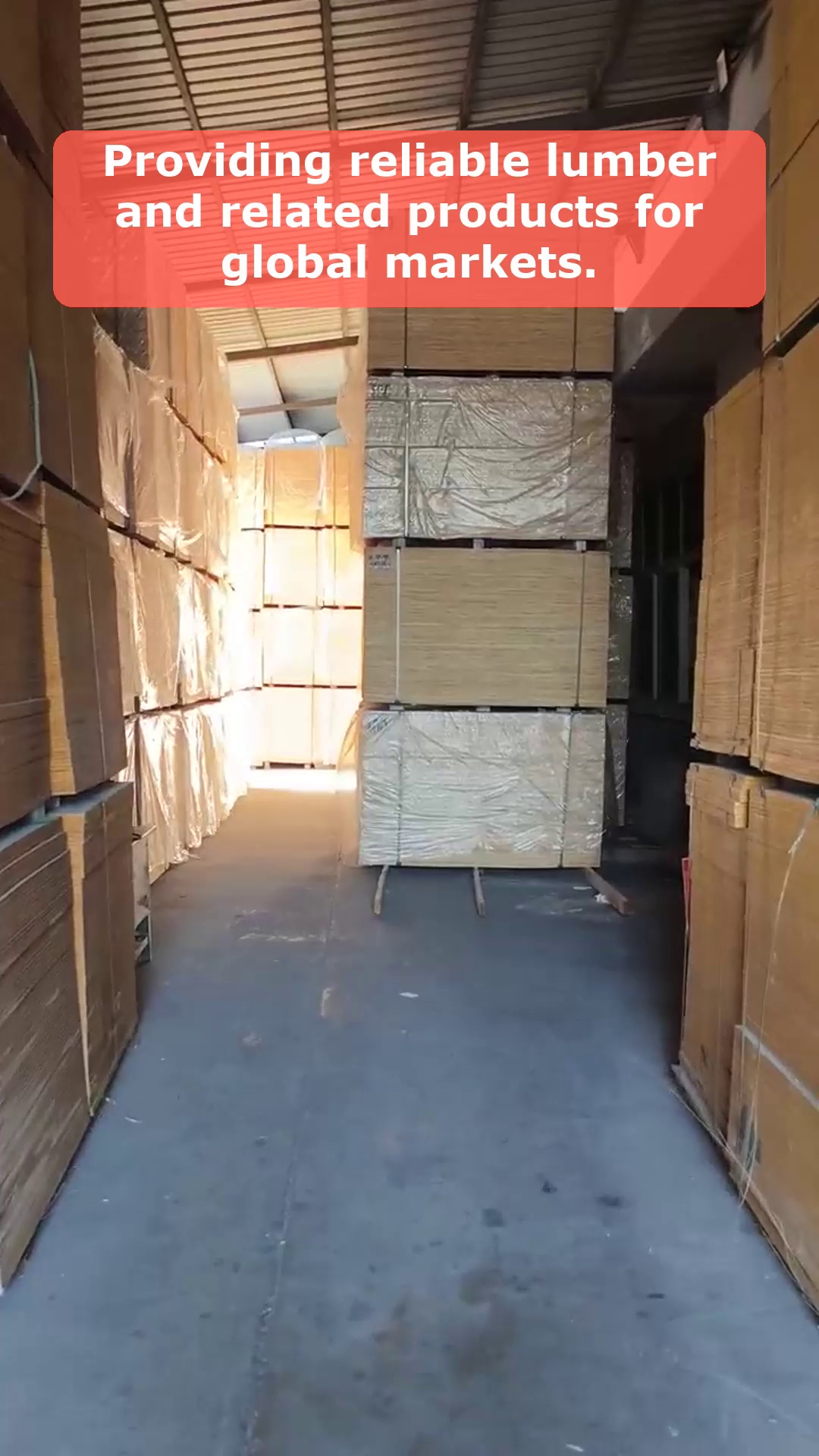 Video 106