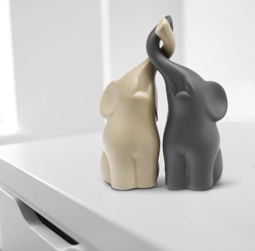 Loving pair of elephants