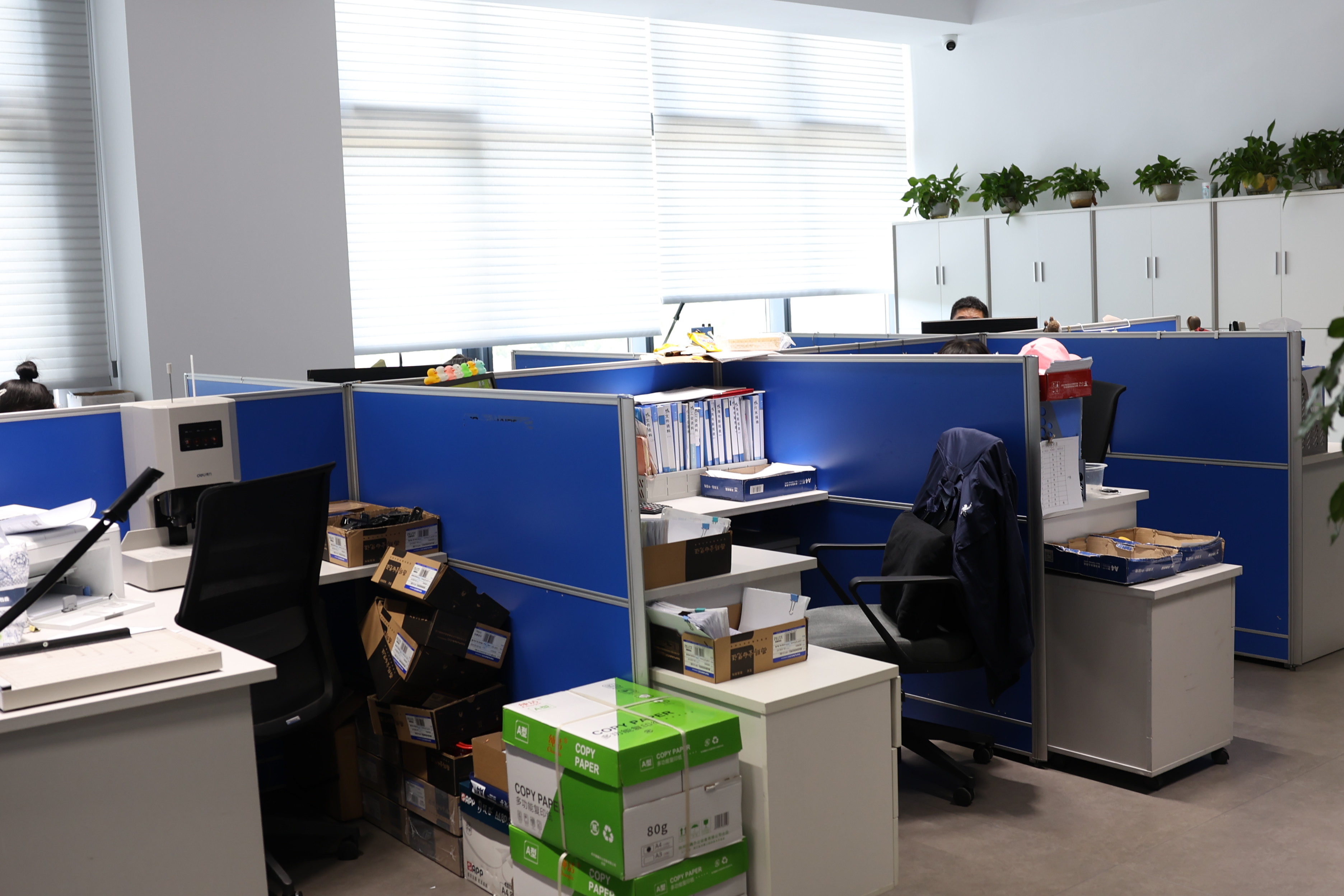 Haibo International Trade Co., Ltd.