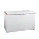 Freezer superior aberto de grande capacidade (BD548)