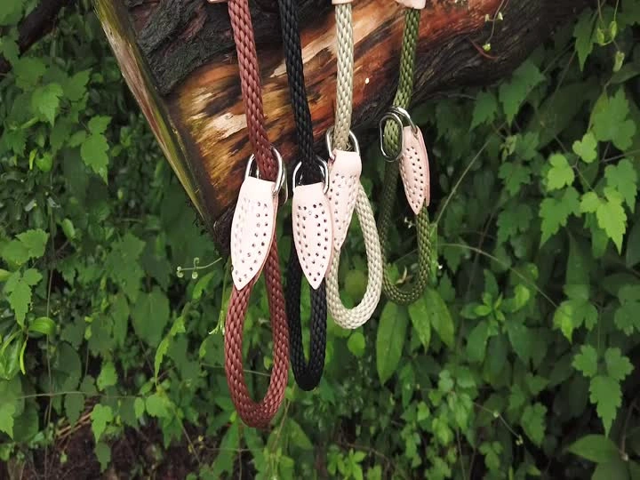 Wenzhou Vigorous Pet Products Co.,Ltd企業情報