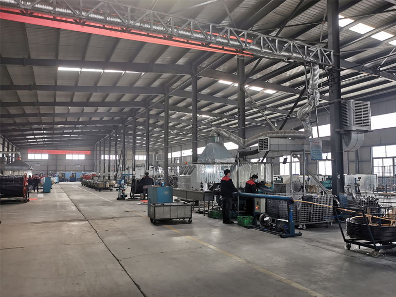 SHIJIAZHUANG STRONGFLEX I/E CO.,LTD.