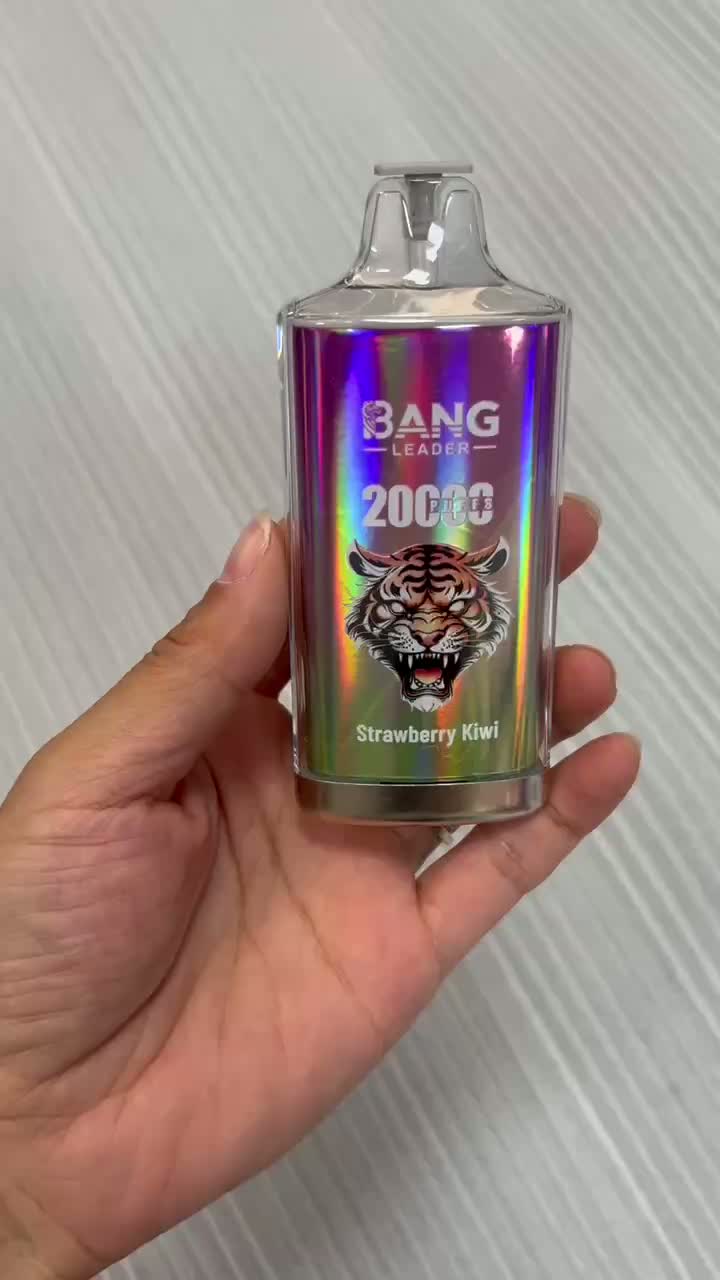 bang-vape-leader-20K-20000-puffs-disposable-dual-mesh-coil-e-cigarette-rechargable
