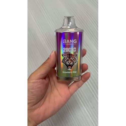 bang-vape-leader-20K-20000-puffs-disposable-dual-mesh-coil-e-cigarette-rechargable