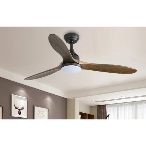 "L'éclairage ESC introduit les ventilateurs de plafond 110V éconergétiques pour optimiser l'éclairage et le flux d'air domestiques"