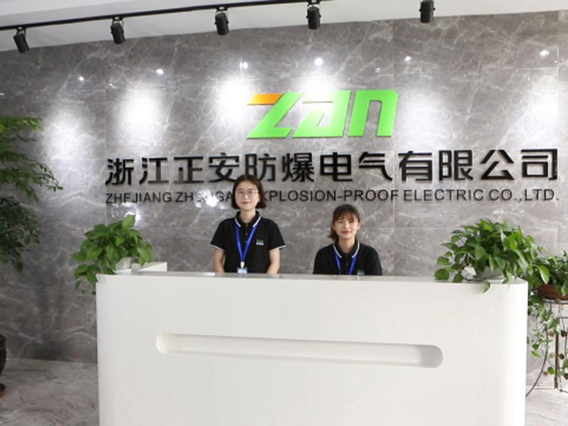 Zhejiang Zhengan Explosion-Proof Electric Co., Ltd.