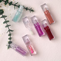 Private Label Professional Makeup Hydrating Color Changing Lip Gloss Plumper1