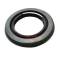 GGAHH109 Oil Seal M11-GGAHH1091