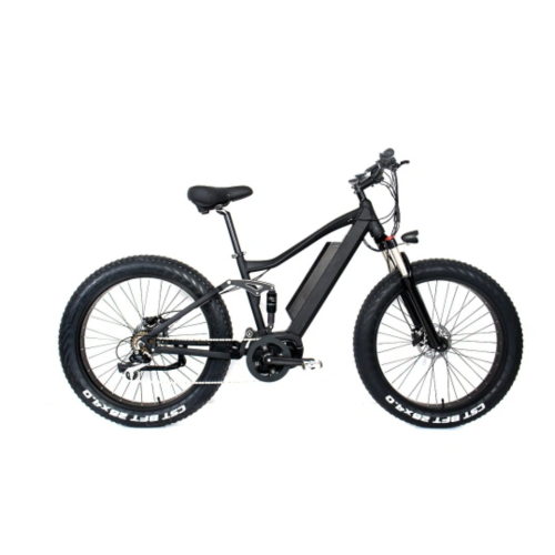 Choosing the Right Electric Fat Tire Bike