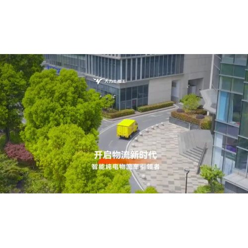D08 Conventional van electric vehicle